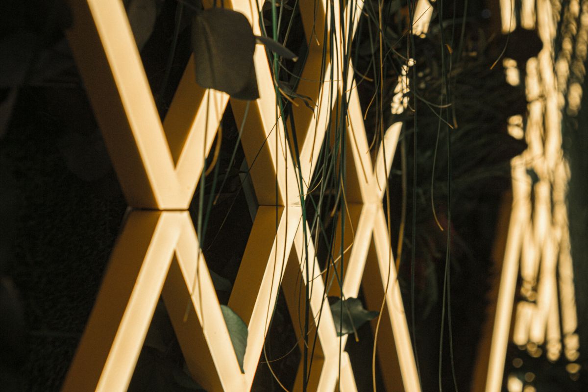 Tips for Picking the Right Wood Lattice for Your Garden